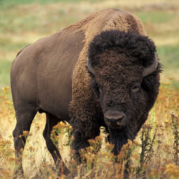 Meet your Posher, Hannah - Picture 1 of 1